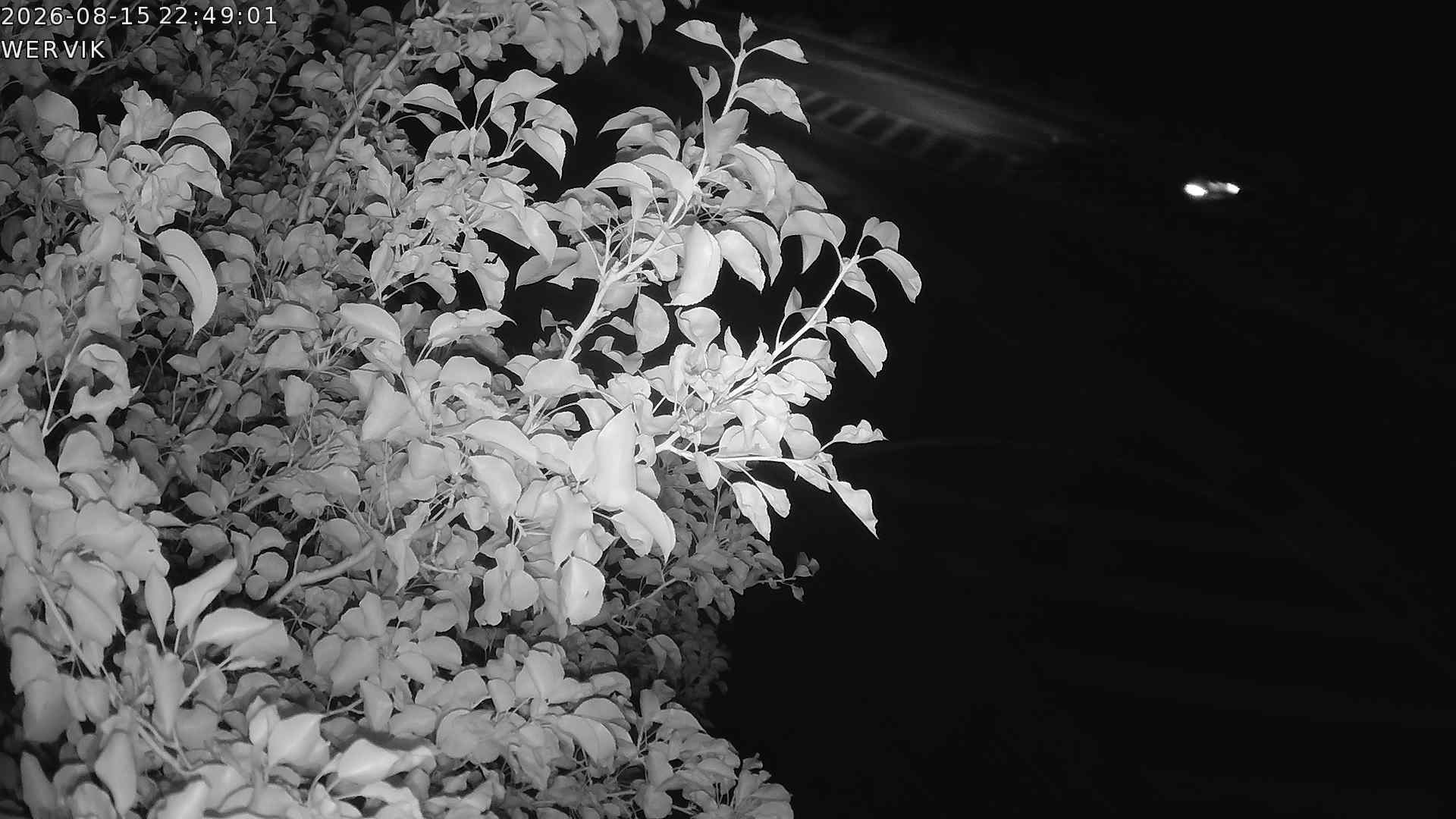 Live webcam Recyclagepark Wervik